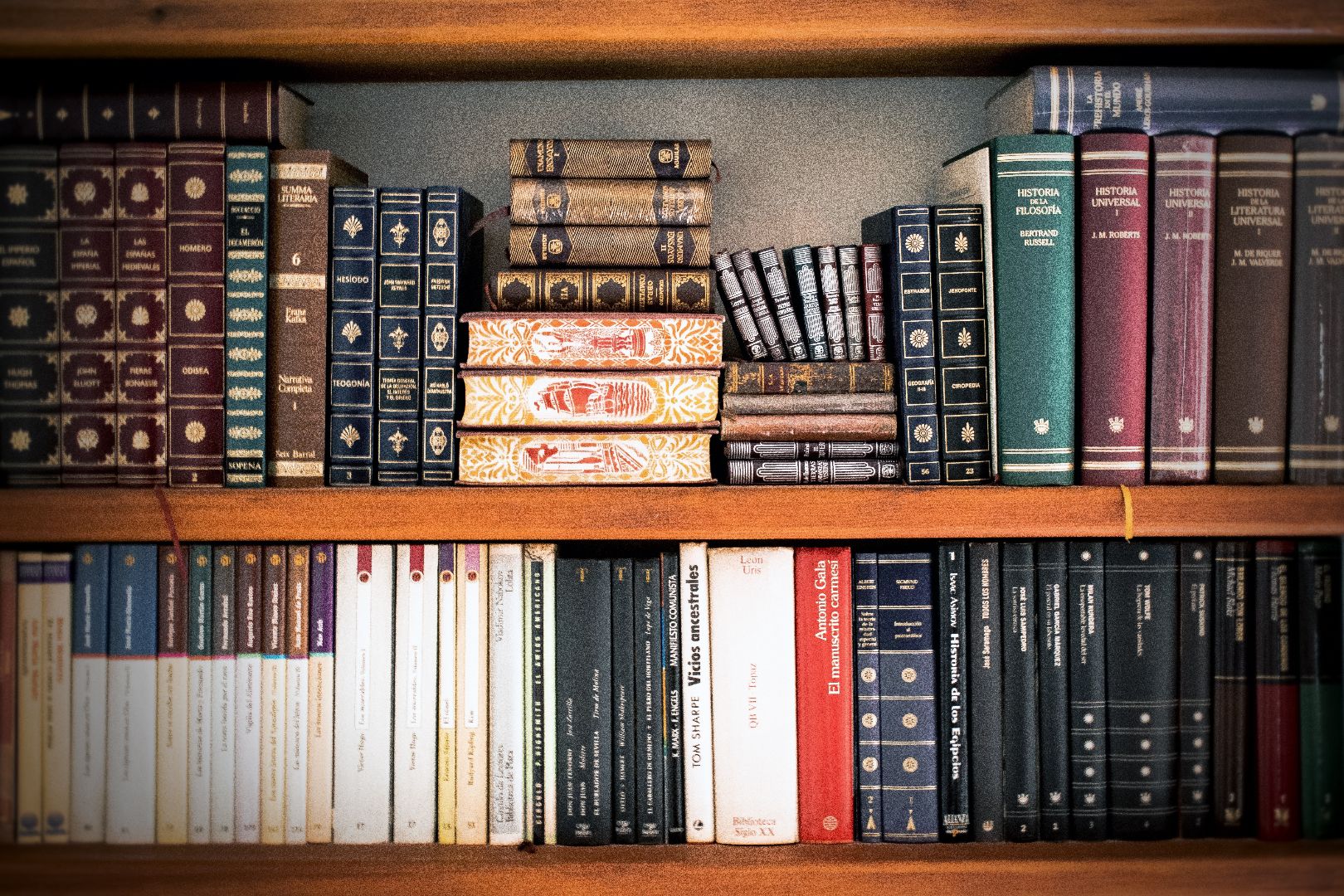 book-shelves-book-stack-bookcase-books-207662.jpg