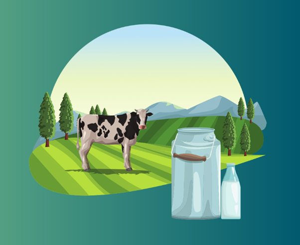 Dairy_NZ_Rural_Accountants_Whakatane.png